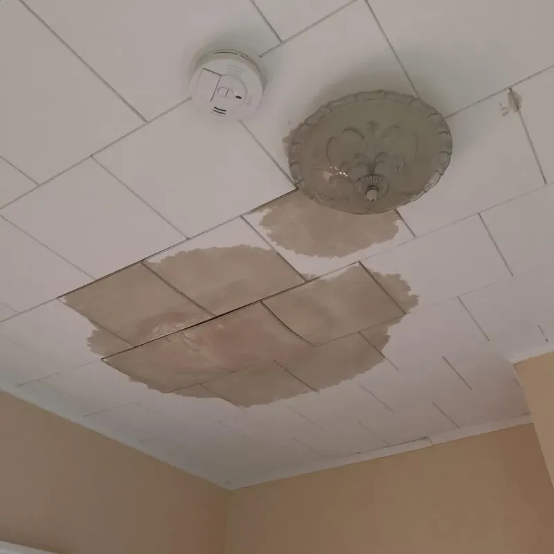 Ceiling Water Damage Repair in Candelaria Arenas, PR