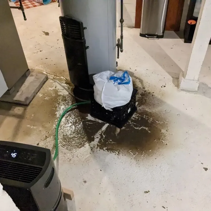 Sewage Backup Cleanup Service in Candelaria Arenas, PR